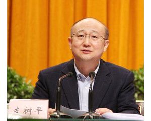 �l(f��)�]��(gu��)�H��(bi��o)��(zh��n)���� ���M(j��n)���绥(li��n)��ͨ ֧��ƽ ���M(j��n)�i ��ľ� ��Ⱥ�ȑ�(y��ng)���ڵ�39��ISO���(hu��) ...